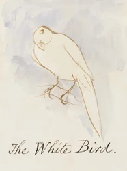 The White Bird, from Sixteen Drawings of Comic Birds (pero a inkoust wc na papíře)