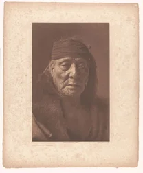 Portrét Bear