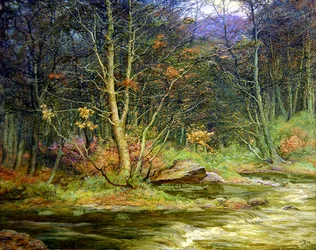 A Woodland Rivulet (olej na plátně)