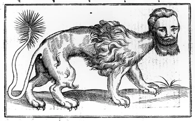 Manticore z 