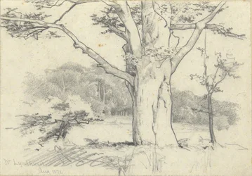 Nr. Lyndhurst, srpen 1871