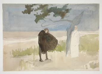 Studovat