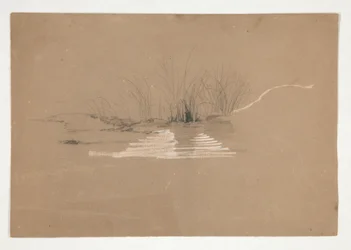 Stromy na břehu řeky (?)