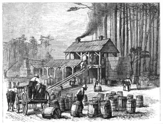 Palírna terpentýnu, Severní Karolína, 1870.