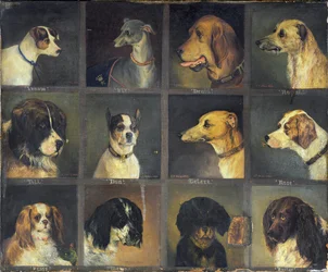 Dvanáct oblíbených psů, 1883