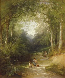 Cesta lesem