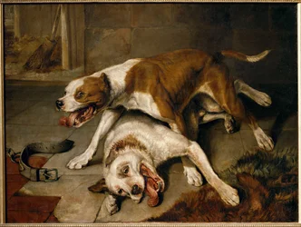 Chiens se battant, reprenant leur souffle - bojoví psi se nadechují...
