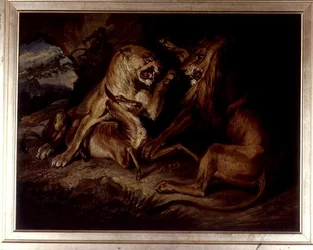 Lions at a Kill (olej na plátně)