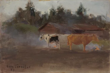 Králové v kouři z rašeliny, studie