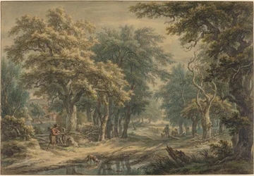 V Donderenu, v lesích Drenthe