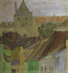 Studie domů