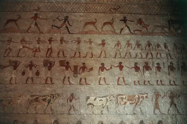 Nekropole Beni Hasan. Hrobka Amenemhata, detail: nástěnné malby zobrazující lovecké výjevy a život na venkově