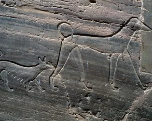 Pár psů, úleva od vchodu, Hrobka Sarenputa II, Hrobky princů, Qubbet el-Hawa, západní břeh Nilu v Asuánu, egyptská civilizace, Říše středu, dynastie XII