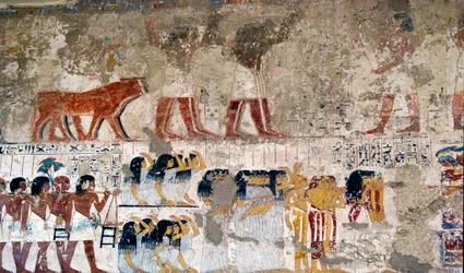 Egyptský starověk: „“ nositelé obětí a pláč“““ Freska hrobky vezíra Ramose (18. dynastie). Luxor, Západní břeh Jordánu, Údolí vznešených Egypt - Starověký Egypt: nabídka nosičů a truchlících. Freska z hrobky vezíra Ramose (18