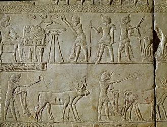 Egyptský starověk: výjevy práce na polích a obětiny faraonovi. Detail reliéfu z hrobky Horemheda (cca 1323-1293 př.nl), královského písaře Tutanchamona. 1354-1326 před naším letopočtem. Bologna, Civico Museo Archeologico