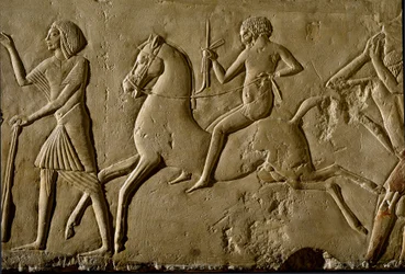 Egyptský starověk: „“bojovník na koni““ Reliéf z hrobu vysokého hodnostáře. 1354-1346 před naším letopočtem. 18. dynastie. Bologna, Civico Museo Archeologico