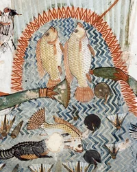 Ryby, detail ze scény lovu a rybolovu v bažinách, freska, severní stěna, podélná komora, Thébská hrobka TT69, Sheikh Abd el-Qurna, Théby (Seznam světového dědictví UNESCO