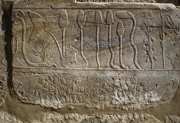 Reliéf zvířat a rostlin, které Thutmose III. obětoval Amonovi po návratu z tažení do Sýrie v roce 1465 př. n. l., místnost botanické zahrady, Karnak, thébská nekropole, Luxor, Egypt, Nová říše, dynastie XVIII.