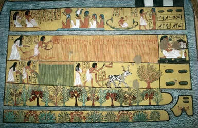 Egypt, Théby, vesnice státních dělníků v Dayr al-Madinah (Deir el-Medina), hrobka Sennedjem, freska zobrazující zemědělské scény na polích Ialu, Nová říše, dynastie XIX