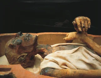 Mumie Ramesse II., detail