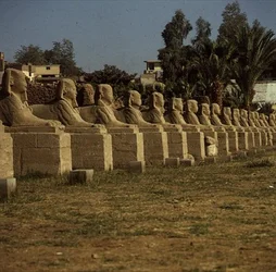 Avenue of Sphinxes, přidal Nectanebo I (380-362 př.nl) Pozdní období