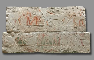 Reliéf zemědělských scén, ze Sakkáry, c.2311-2281