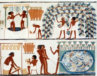 Egyptské umění: Sběr a šlapání hroznů. Hrobka Nachta, období Amenhotepa II. (asi 1450-1425 př. n. l.). Paříž, Collège de France
