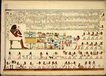 Egyptské hieroglyfy, z díla Pohledy atd. od Sheikh Hassan po Beni Hassan, atlasové folio