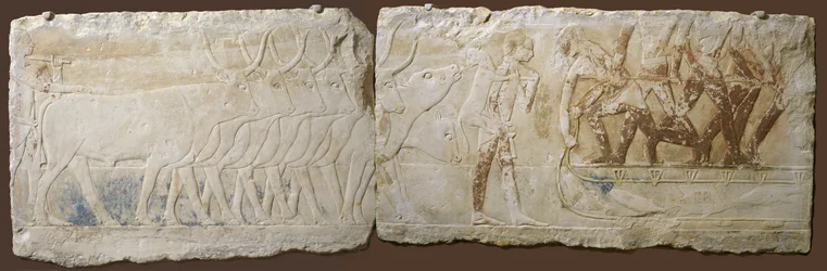 Reliéf rolníků, kteří pohánějí dobytek a rybaří, Stará říše, 2450–2290 př. n. l. (malovaný vápenec)