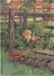 Ilustrace z 