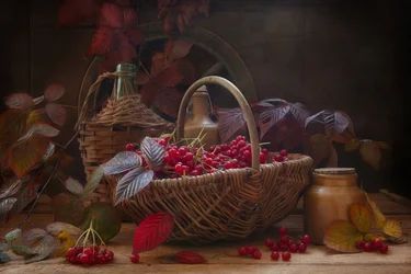 Zátiší s podzimními větvičkami a bobulemi kaliny šarlatové ve vintage stylu.