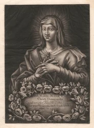 B.V. Maria Mater Jesus