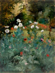 Vlčí máky, konec 19.-začátek 20. století.
