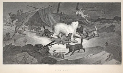 Lov medvěda, ilustrace z knihy "The second Grinnell Expedition in Search of Sir John Franklin...", 1856