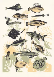Peach Seaweed Fish, 2015 (sítotisk)