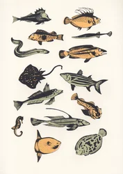 Plain Fish, 2015 (sítotisk)