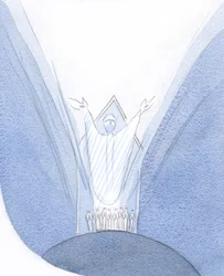 Zde, během mše, je Kristus skutečně přítomen s námi, na Zemi, modlí se k Otci, s námi shromážděnými kolem Něho., 2001 (bez papíru)