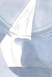 Viděl jsem, jak Kristův život a oběť pronikají samotné nebe a otevírají cestu, kde můžeme následovat, sdílet Jeho slávu., 2000 (bez papíru)