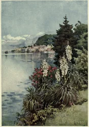 Skupina Yuccas, Villa Melzi, Lago di Como, Ilustrace z „Italských jezer“ od Richarda Bagota