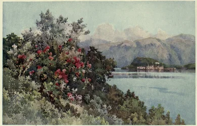 Růže, Villa Carlotta, Lago di Como, Ilustrace z „Italských jezer“ od Richarda Bagota