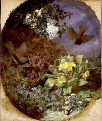 Střízlíci krmí svá mláďata v hnízdě (r. a r. 1876)