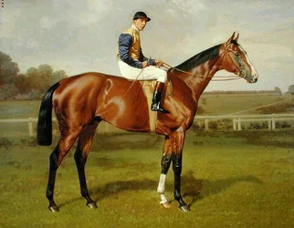 "Spearmint", vítěz 1906 Derby, 1906