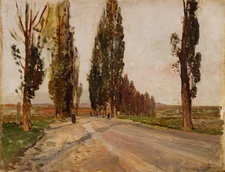 Topolová alej u Plankenbergu, kolem roku 1890