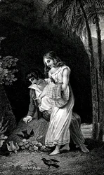 Rytina ilustrující vydání románu Jacques-Henri Bernardin de Saint Pierre (Jacques Henri Bernardin de Saint-Pierre): Paul et Virginie z konce 19. století. V blízkosti mladého páru milenců v lese bez obav přistávají ptáci. Kresba b