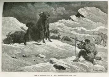 Scéna lovu divokých jaků, kresba Emila Bayarda ilustrující cestu do Mongolska a země Tangoutes v letech 1870 až 1873, od podplukovníka Przewalského. Rytina v Le tour du monde