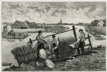 Rez lnu (macerace usnadňující oddělení kůry od stonku) v Lys (řeka severně od Francie a Belgie). Rytina Emile Clause pro ilustraci příběhu „“ La Belgique“ od Camille Lemonnier (1844 -1913), spisovatel a výtvarný kritik.