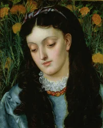 Krásný Wallflower
