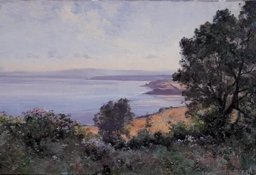 Douarnenez pšenice a stromy v pohledu