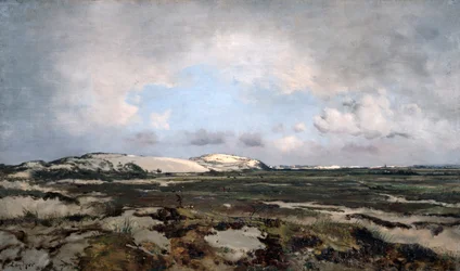 V dunách, 1881