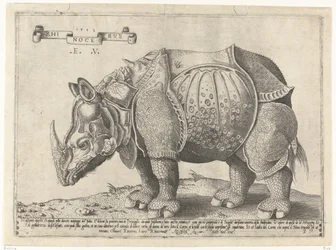 Neushoorn Rhinocerus (název na objektu)